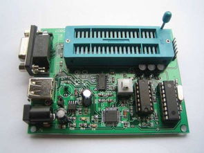 为什么猫咪爱洗脸?什么原因造成的呢?