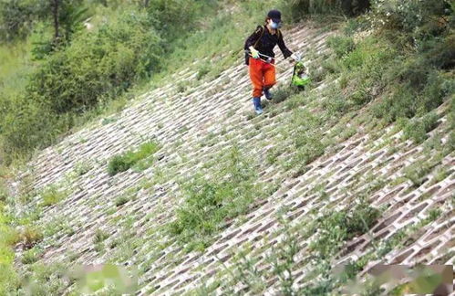 工厂排放难洗净打一生肖