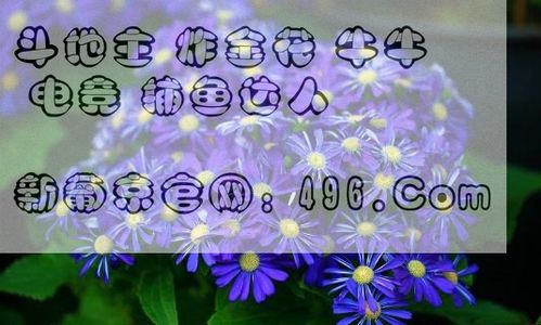 四四一十六是什么动物