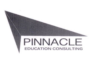 pinnacle汇丰，pinnacle人工关节