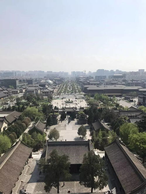 嘹的拼音和组词