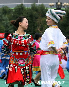 土家族民族服装，土家族人口