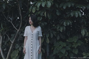 minstrel boy，Minstrel Studio