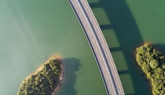 形容如雨后春笋般而生的成语是什么?