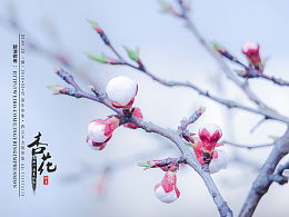 一枝红杏纸上春，一枝红杏阅读理解参考答案