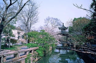 池馆什么意思??急!