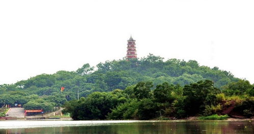 天气降水预报颜色的图中代表什么?