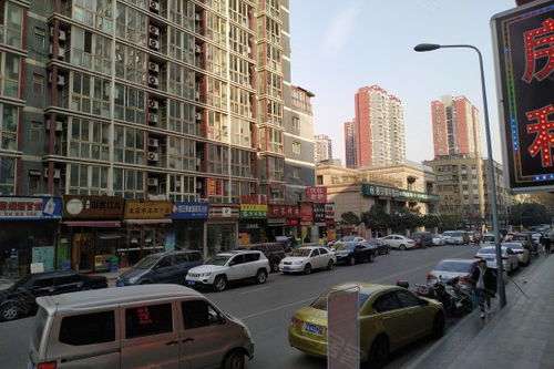 十六楼层为什么不吉利，十六楼会有老鼠吗
