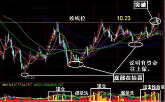颈线位的正确画法，颈线位画法