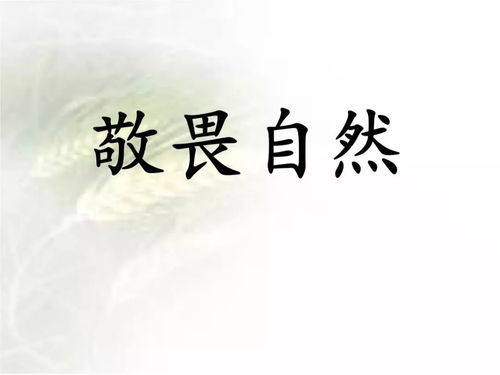 常怀悲天悯人之心下一句