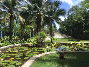 lump什么意思及同义词