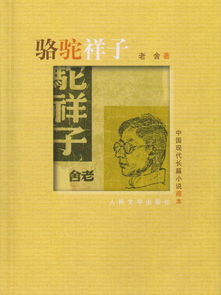 骆驼祥子的景物描写摘抄有哪些?