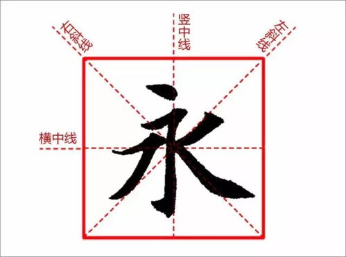 傍的笔顺组词，停的笔顺