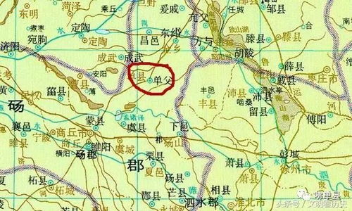 单县人口2022总人数口，菏泽单县人口