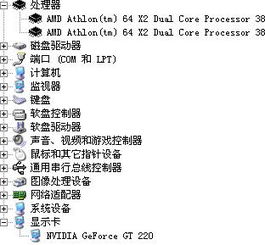 年下是什么意思