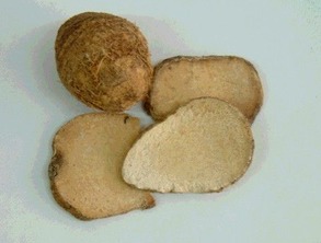泽泻的功效与作用用量，泽泻的功效与作用图片