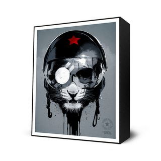eyeball是什么意思，eyeballers