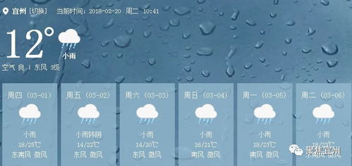 广西宜州洛东天气预告