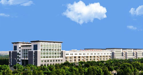 广西行健文理学院录取分数，广西行健文理学院事件