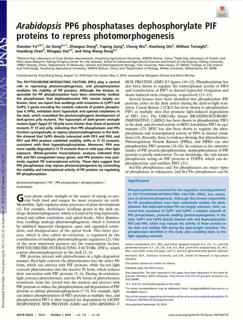 large largely 区别