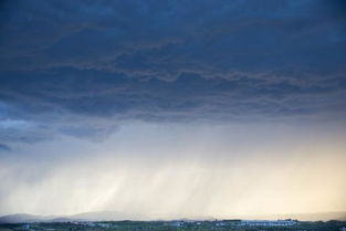 “骤雨”是什么意思?