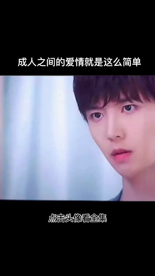 试婚是什么意思