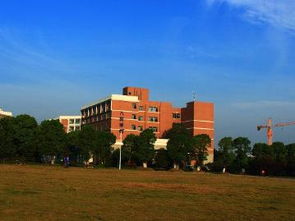 湖南涉外经济学院如何