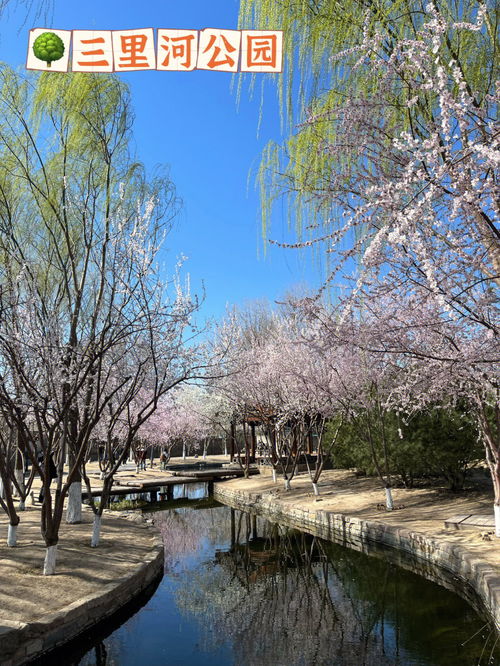 春风习习,是什么意思