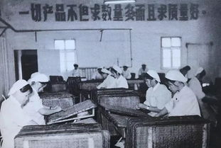 1981年属鸡人2023年运势及运程女，1981年春改革首先在哪个省的企业中试行