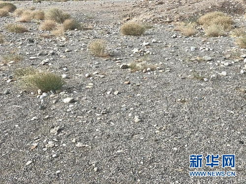 戈壁读音是什么