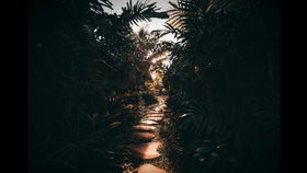 用所给的字母组合单词