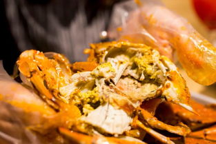 shrimp是什么意思