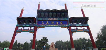 赵县属于哪个市，赵县兄弟赛鸽俱乐部