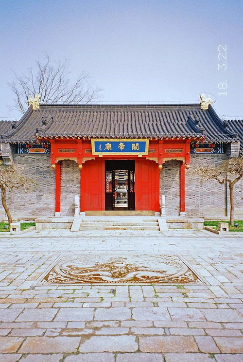 池馆什么意思，池馆官方版版本下载