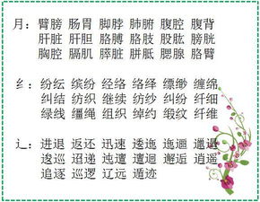 同一偏旁的词语有哪些