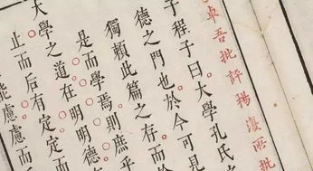 己所不欲勿施于人作文800字议论文，己所不欲勿施于人作文1000字