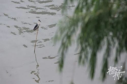 浙江梅雨季节是什么时间