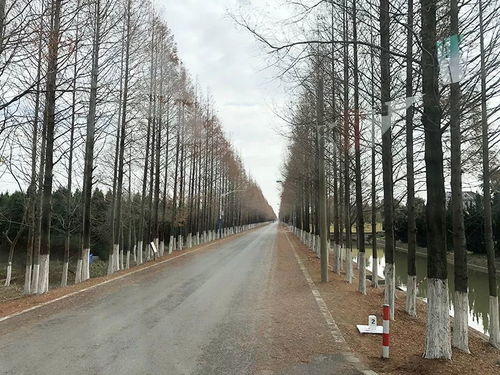 阡陌交通的交通古义和今义，阡陌交通下一句