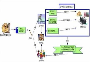 商品经济的基本矛盾是( )之间的矛盾，资本主义商品经济的基本矛盾