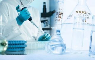 做实验英语表达，我喜欢做实验英语