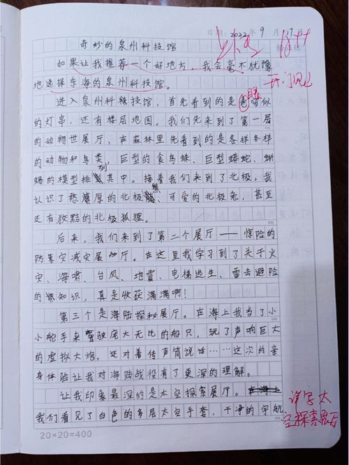 新学期的我作文600字初二，新学期的我作文600字九年级