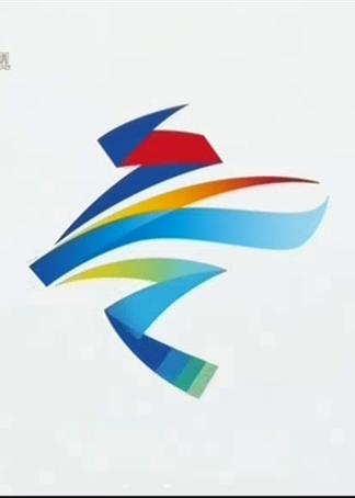 2020年冬奥会的内容怎么写?