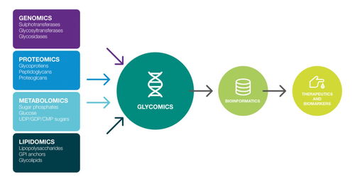 糖组词语和拼音怎么写，糖组词和成语