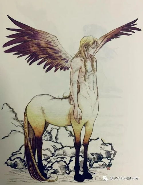 狍鸮的介绍