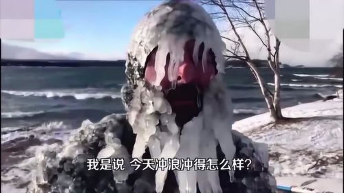 冰冷的解释冰冷的解释是什么