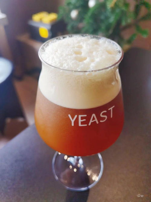 yeast ectract和酵母粉一样嘛，yeasterdayonce more歌曲