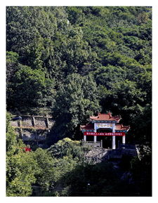 青龙山公园门票价格，青龙山公园有什么好玩的