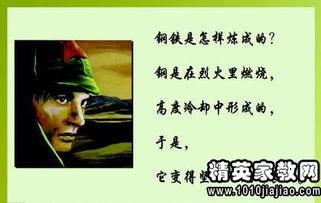 钢铁是怎样炼成的心得体会300字，钢铁是怎样炼成的心得体会400