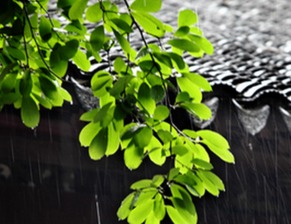 杭州梅雨季节是什么时候，杭州梅雨季节持续多久