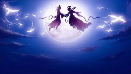 迢迢牵牛星的译文，迢迢牵牛星的下一句